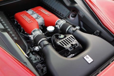 458_PPF (7 of 10).jpg