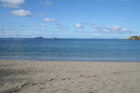 IMG_8234.jpg