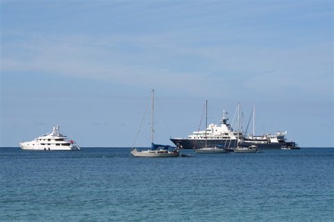 IMG_8359.jpg