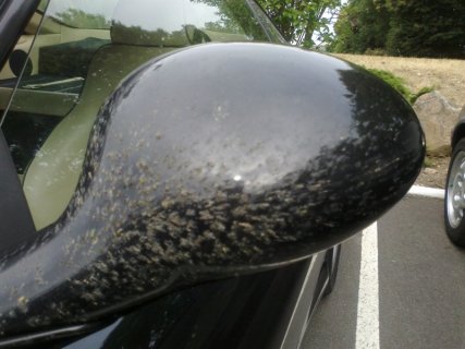 10062011027 - Copy.jpg