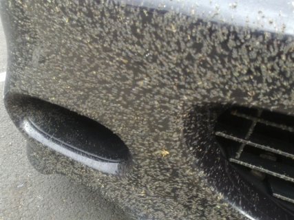 10062011029 - Copy.jpg